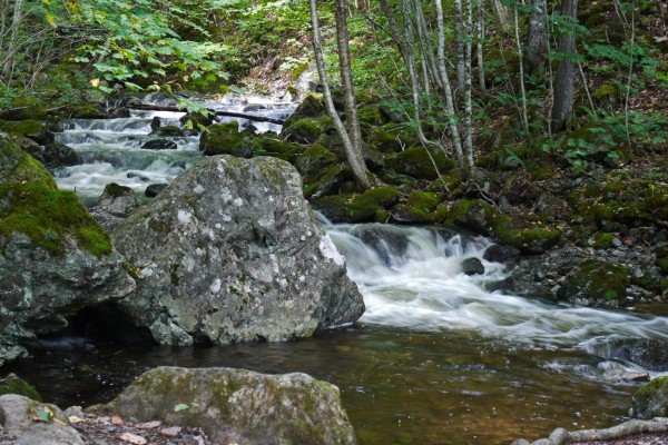 ein fluss bahnt sich den weg - (c) r plock.jpg